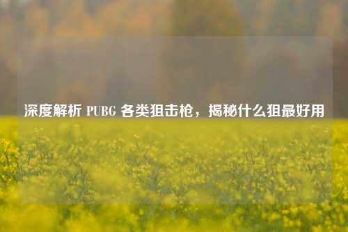 深度解析 PUBG 各类狙击枪，揭秘什么狙最好用