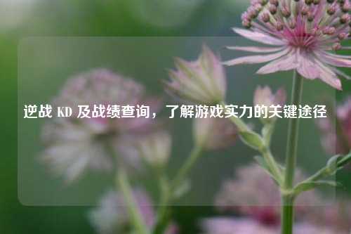 逆战 KD 及战绩查询，了解游戏实力的关键途径