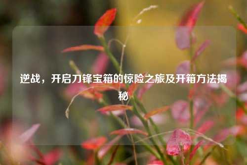 逆战,开启刀锋宝箱的惊险之旅及开箱方法揭秘