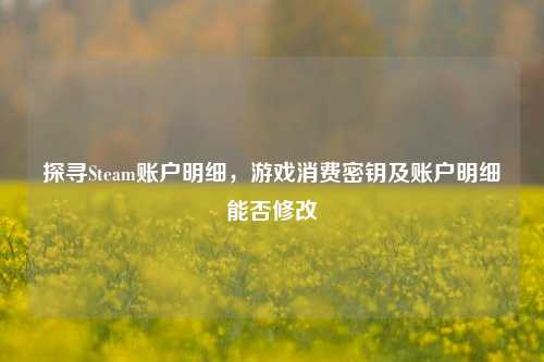 探寻Steam账户明细,游戏消费密钥及账户明细能否修改