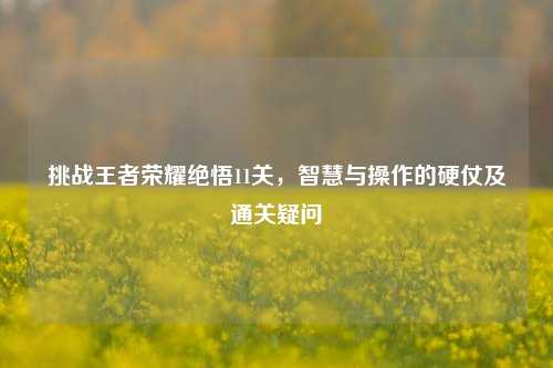 挑战王者荣耀绝悟11关,智慧与操作的硬仗及通关疑问