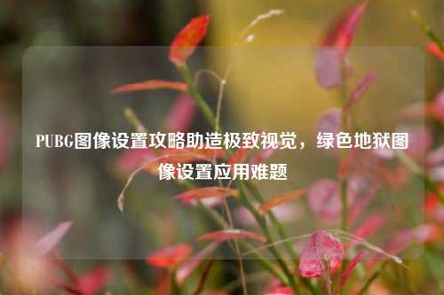 PUBG图像设置攻略助造极致视觉，绿色地狱图像设置应用难题