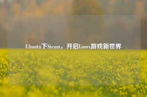 Ubuntu下Steam,开启Linux游戏新世界