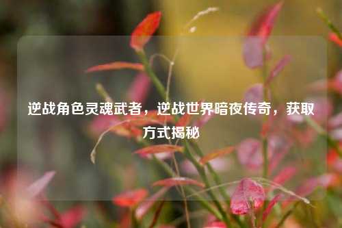 逆战角色灵魂武者，逆战世界暗夜传奇，获取方式揭秘