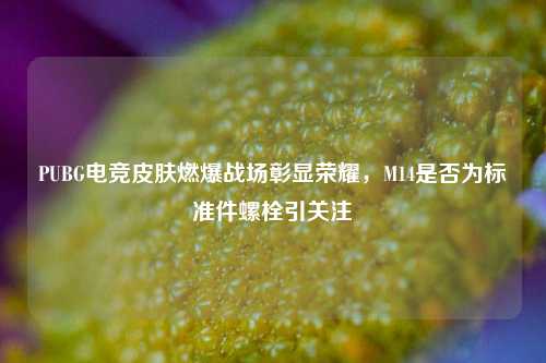 PUBG电竞皮肤燃爆战场彰显荣耀，M14是否为标准件螺栓引关注