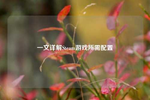 一文详解Steam游戏所需配置