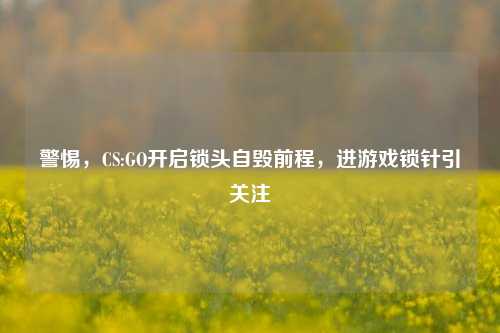 警惕，CS:GO开启锁头自毁前程，进游戏锁针引关注