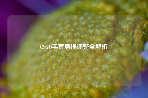 CSGO手套磨损调整全解析
