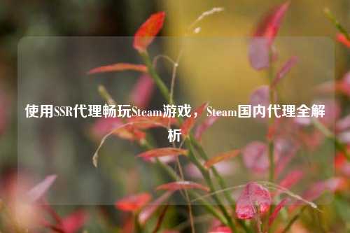 使用SSR代理畅玩Steam游戏，Steam国内代理全解析