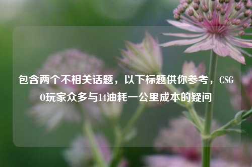 包含两个不相关话题,以下标题供你参考,CSGO玩家众多与14油耗一公里成本的疑问