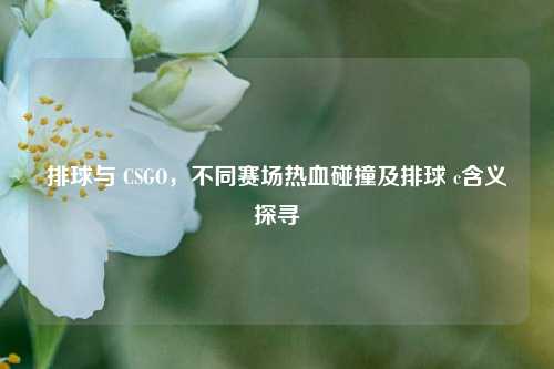 排球与 CSGO，不同赛场热血碰撞及排球 c含义探寻
