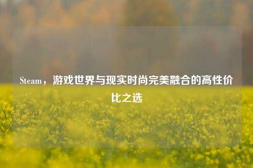 Steam,游戏世界与现实时尚完美融合的高性价比之选