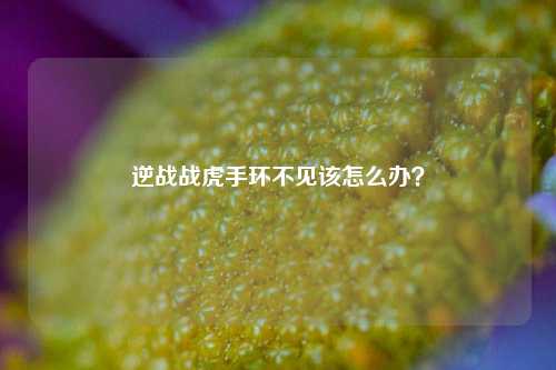 逆战战虎手环不见该怎么办?