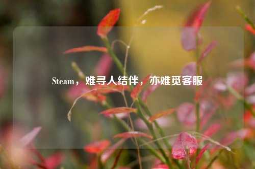 Steam,难寻人结伴,亦难觅客服