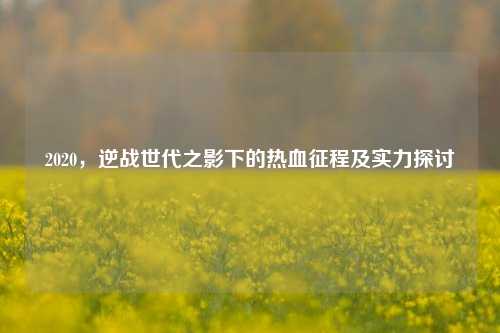 2020，逆战世代之影下的热血征程及实力探讨