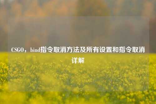 CSGO,bind指令取消方法及所有设置和指令取消详解