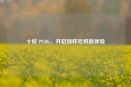 十权 PUBG，开启别样吃鸡新体验