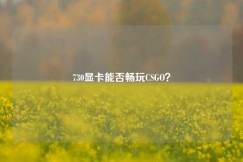 730显卡能否畅玩CSGO？