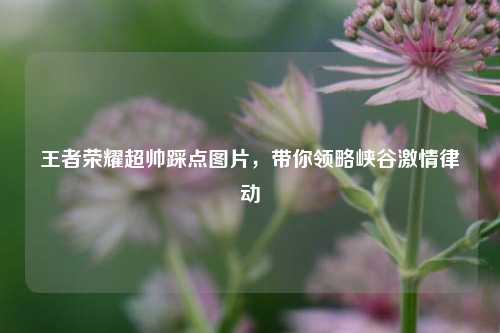王者荣耀超帅踩点图片,带你领略峡谷激情律动