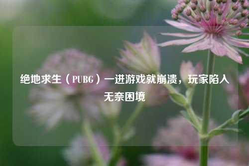绝地求生（PUBG）一进游戏就崩溃，玩家陷入无奈困境