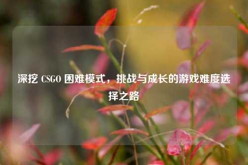 深挖 CSGO 困难模式,挑战与成长的游戏难度选择之路