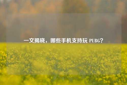 一文揭晓，哪些手机支持玩 PUBG？