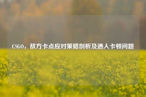 CSGO,敌方卡点应对策略剖析及遇人卡顿问题