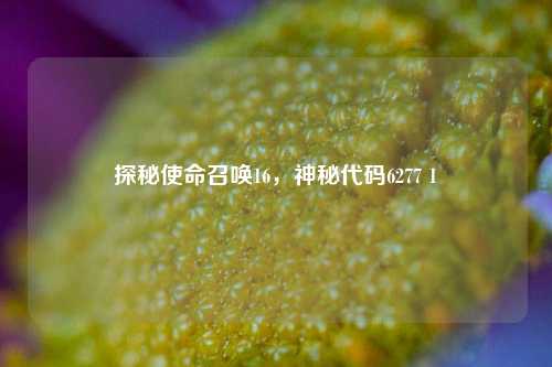 探秘使命召唤16，神秘代码6277 1
