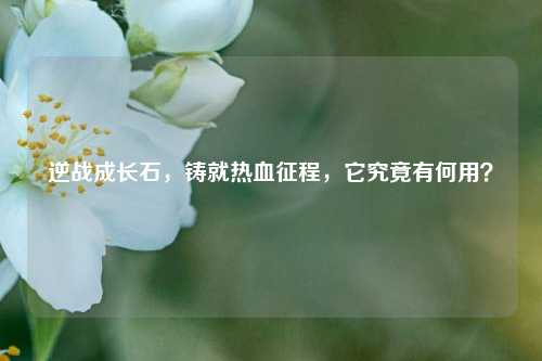 逆战成长石，铸就热血征程，它究竟有何用？