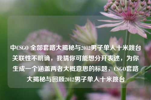 中CSGO 全部套路大揭秘与2012男子单人十米跳台关联性不明确,我猜你可能想分开表述,为你生成一个涵盖两者大概意思的标题,CSGO套路大揭秘与回顾2012男子单人十米跳台