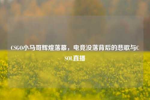 CSGO小马哥辉煌落幕,电竞没落背后的悲歌与CSOL直播