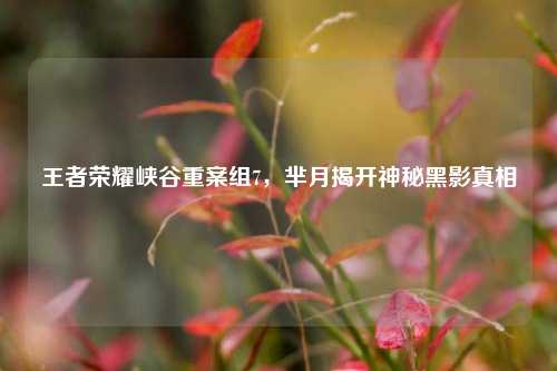 王者荣耀峡谷重案组7,芈月揭开神秘黑影真相