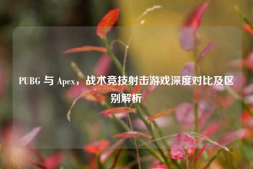 PUBG 与 Apex,战术竞技射击游戏深度对比及区别解析