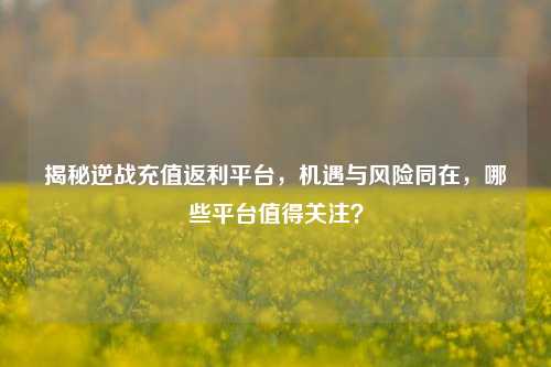 揭秘逆战充值返利平台，机遇与风险同在，哪些平台值得关注？