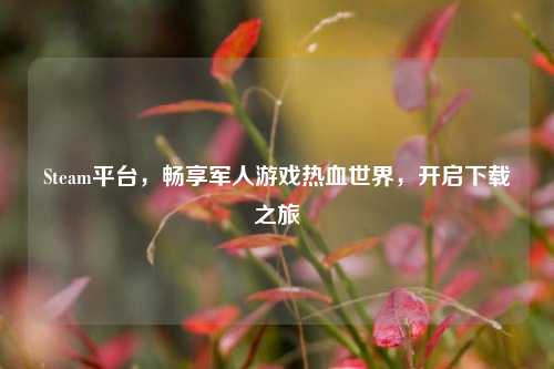 Steam平台,畅享军人游戏热血世界,开启下载之旅