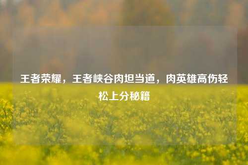 王者荣耀,王者峡谷肉坦当道,肉英雄高伤轻松上分秘籍