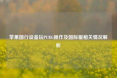 苹果国行设备玩PUBG操作及国际服相关情况解析