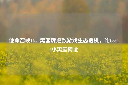 使命召唤16,黑客肆虐致游戏生态危机,附Cod16小黑屋网址