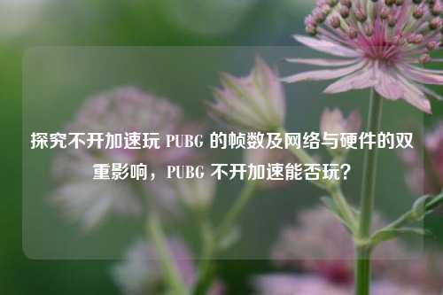 探究不开加速玩 PUBG 的帧数及网络与硬件的双重影响,PUBG 不开加速能否玩?