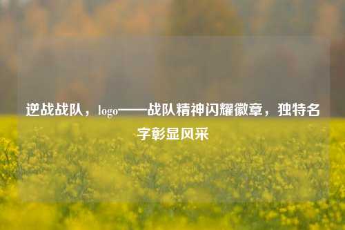 逆战战队，logo——战队精神闪耀徽章，独特名字彰显风采