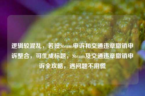 逻辑较混乱,若按Steam申诉和交通违章撤销申诉整合,可生成标题,Steam及交通违章撤销申诉全攻略,遇问题不用慌