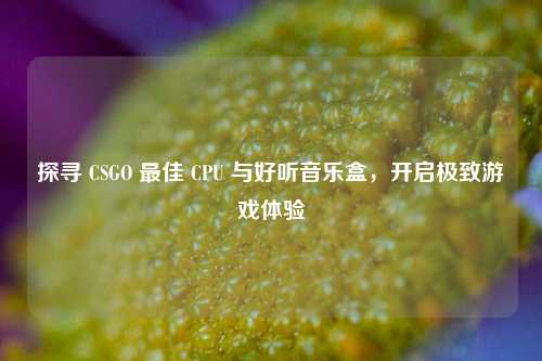 探寻 CSGO 最佳 CPU 与好听音乐盒，开启极致游戏体验