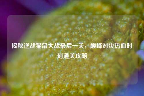 揭秘逆战猫鼠大战最后一关，巅峰对决热血时刻通关攻略