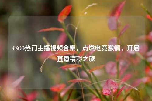 CSGO热门主播视频合集，点燃电竞激情，开启直播精彩之旅