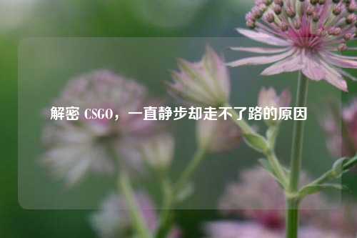 解密 CSGO,一直静步却走不了路的原因