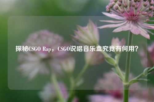 探秘CSGO Rap,CSGO说唱音乐盒究竟有何用?