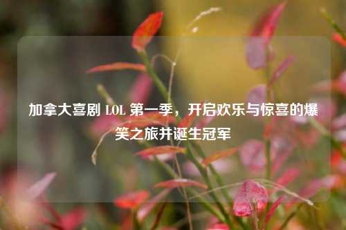 加拿大喜剧 LOL 第一季，开启欢乐与惊喜的爆笑之旅并诞生冠军