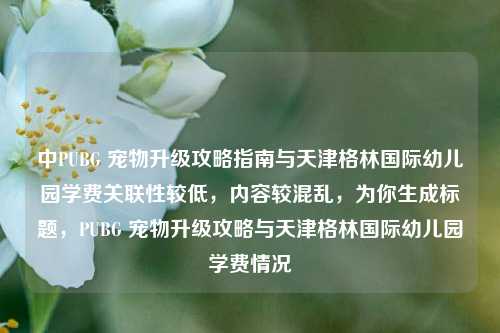 中PUBG 宠物升级攻略指南与天津格林国际幼儿园学费关联性较低，内容较混乱，为你生成标题，PUBG 宠物升级攻略与天津格林国际幼儿园学费情况