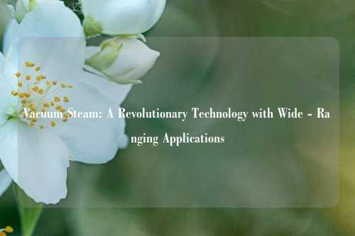 Vacuum Steam: A Revolutionary Technology with Wide - Ranging Applications