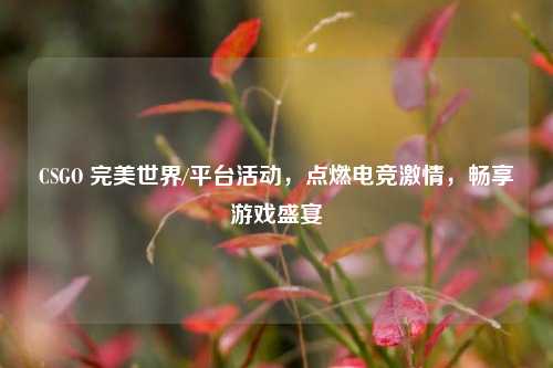 CSGO 完美世界/平台活动,点燃电竞激情,畅享游戏盛宴